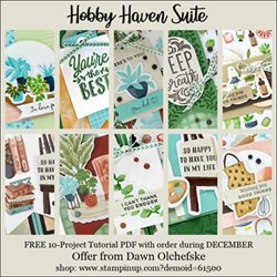 DOstamping Shopping Gift for orders of $30 or more during December, receive Hobby Haven Suite 10-Project Tutorial PDF